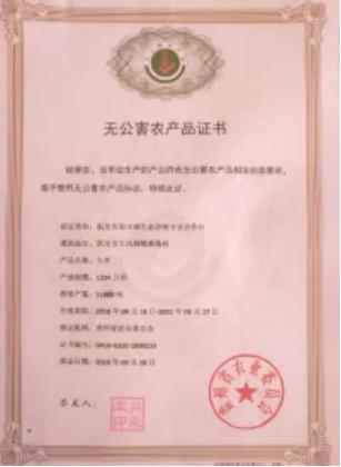 /upload/Article/2020/02/06bef661-bb14-4204-85ce-823bf48ba9a8.png