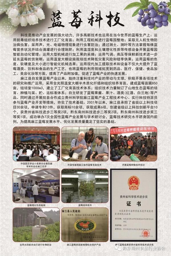 /upload/Article/2020/12/a48aaa0f-70ae-49ab-8dd5-0d537edb89fa.jpg