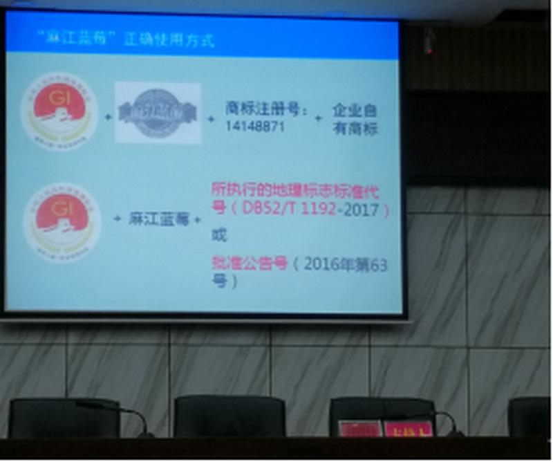 /upload/Article/2021/01/9ed4b1d0-f56d-4bb4-98c9-5e2b313ab688.png
